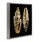 Stupell Industries Spotted Cowrie Shells Framed Floater Canvas Wall Art Design by Caroline Kelly
